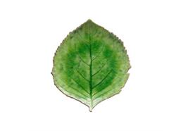 Costa Nova Riviera Teller Hydrangea 22cm grün