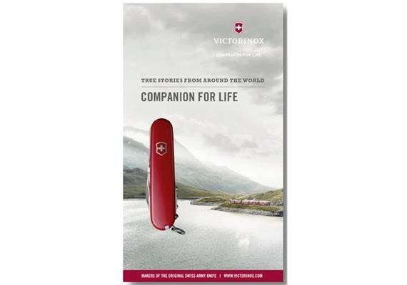 Ein Begleiter fürs Leben englisch