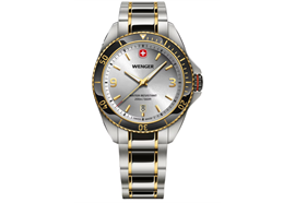 Executive 40, 3N 2T, SIR dial, 3N 2T SST br