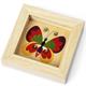 Kügelispiel Schmetterling ,Holzspiel