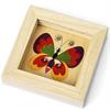 Kügelispiel Schmetterling ,Holzspiel