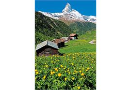 Magnet Matterhorn mit Häuser