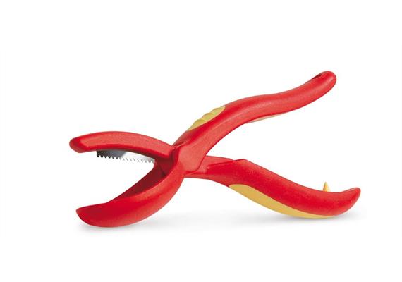 Marroni-Schneider Marroni-Schneider