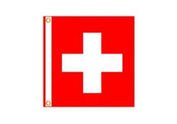 Schweizerfahne 90x90cm Polyester