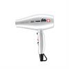 Solis Haartrockner Fast Dry silber Typ 381