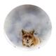 Speiseteller Waldtiere Fuch hell 24 cm