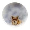 Speiseteller Waldtiere Fuch hell 24 cm