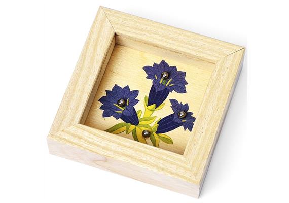 Swiss Geduldspiele Enzian