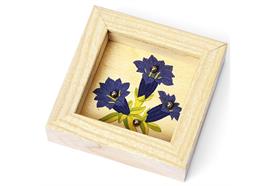 Swiss Geduldspiele Enzian