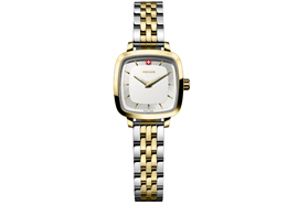 Vintage Classic 27, 3N, WHE dial, 3N 2T SST br